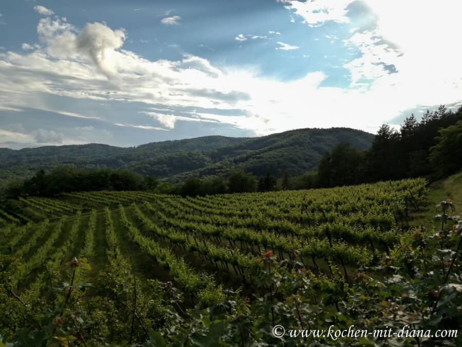 Weingut